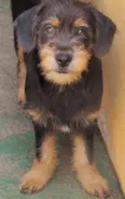 MILENA BEBEZINHA