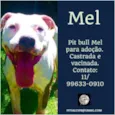 MEL