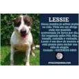 LASSIE