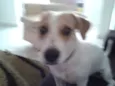 Lola