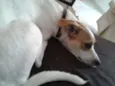 Lola