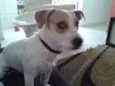 Lola