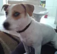 Lola
