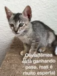 Olívia
