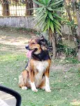 Filomena
