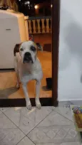 Junior