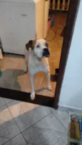 Junior