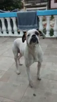 Junior