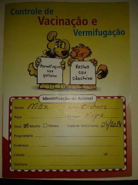 Cachorro ra a Mestiço Labrador idade 1 ano nome Max