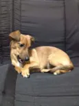 Lilly