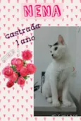 Nena