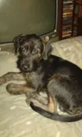Marley