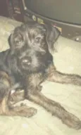Marley