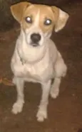 ???