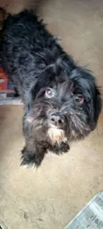 Tobby