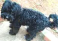 Tobby