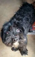 Tobby