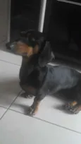 Billy
