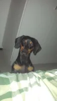 Billy