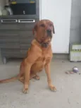 Marley