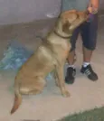 Marley