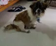 Pepeu
