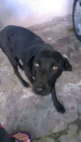 Preta