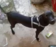Marley