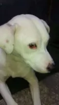 Hanna