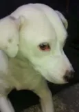 Hanna