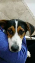 Matilda