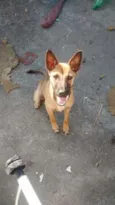Bob