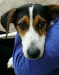 Matilda