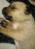 Nina