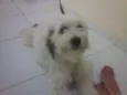 Spike