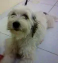 Spike