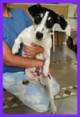 Julieta