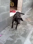 bil
