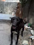 bil