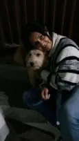 dina