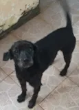 Neguinho