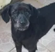 Neguinho