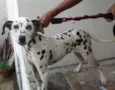 Sem identificação 