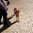 Rex