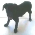 marley