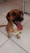 Bob