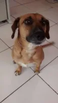 Bob