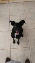 Diego