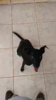 Diego