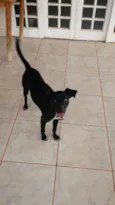 Diego